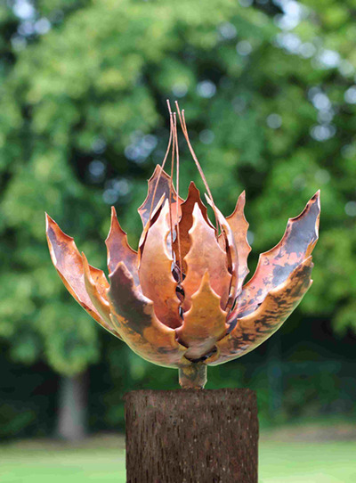 Copper_pod_m_michaelson_2012