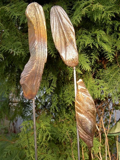 Cuttlefish_023