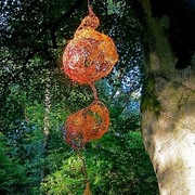 F_campbell_cocoon