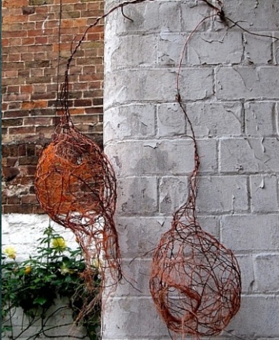 F_campbell_wall_nest