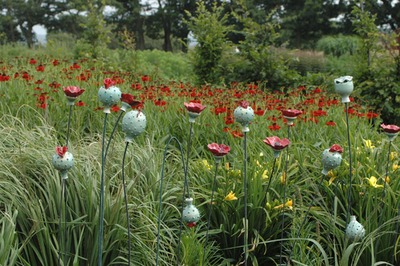 Poppiesatprairielowres