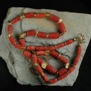 Turtill_coral