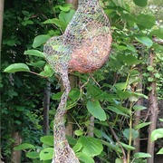 Img_1165_-_version_2
