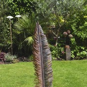 Dscf4395