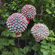 Dscf4421