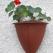Dscn6540