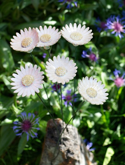 Marguerittesurmerlowres