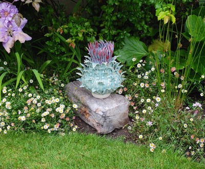 Frances_doherty_thistle