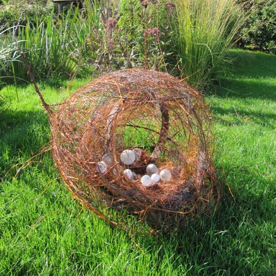 F_campbell_giant_nest