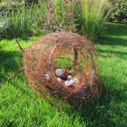 F_campbell_giant_nest
