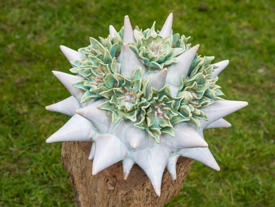 White_and_lime_starburst