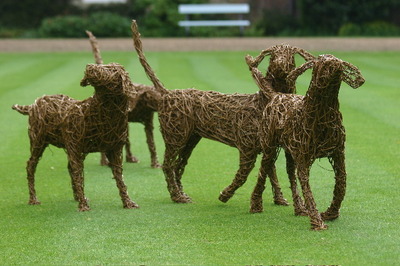 Dogs