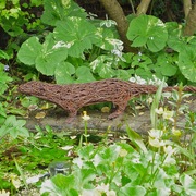 Doherty_otter