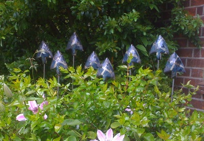 Jg_blue_arrows