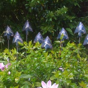 Jg_blue_arrows