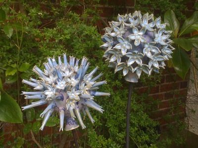 Doherty_thistle