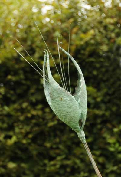 Mm_organic_form_ii