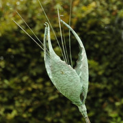 Mm_organic_form_ii