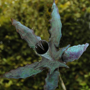 Mm_organic_form_iii